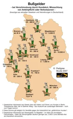 Bild: Trotz positiver Zwischenbilanz zum Hamburger Hundegesetz – Hundehaltung in der Elbmetropole zunehmend schwer