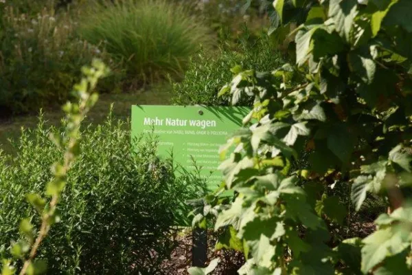 Bild: Infoabend „Mehr Natur wagen“