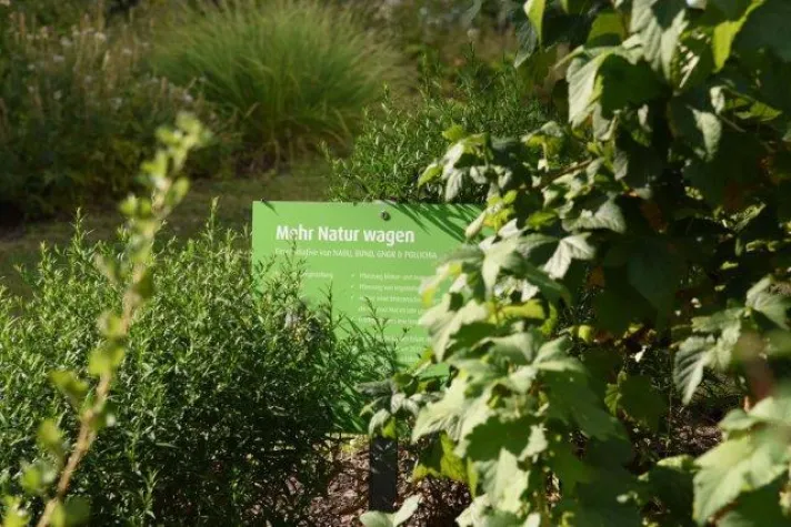 Bild: Infoabend „Mehr Natur wagen“