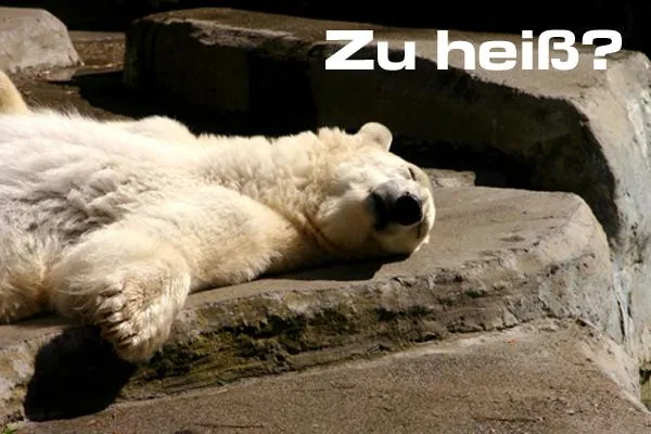 Energieeffiziente Kühleinheiten Bild: Energieeffiziente Kühleinheiten