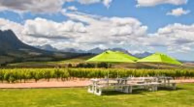 Ausgezeichnete Premiumweine von Warwick – jetzt neu bei RED SIMON. Bild: Ausgezeichnete Premiumweine von Warwick – jetzt neu bei RED SIMON.