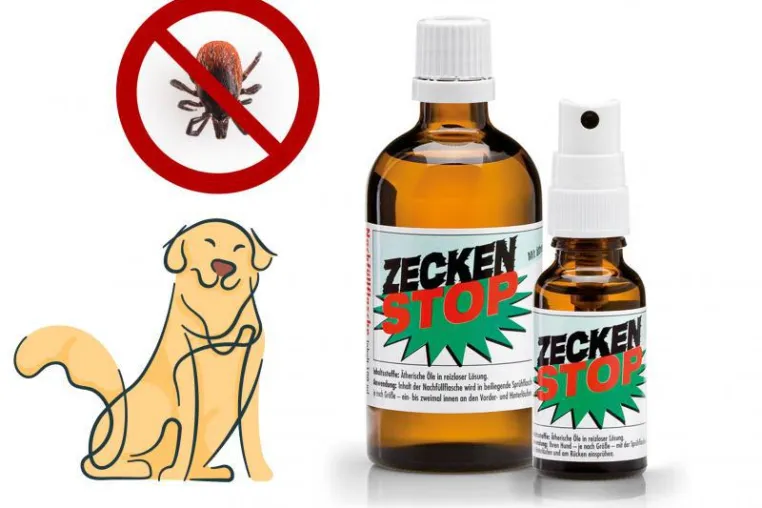 Bild: Zecken Stop für ihren Hund