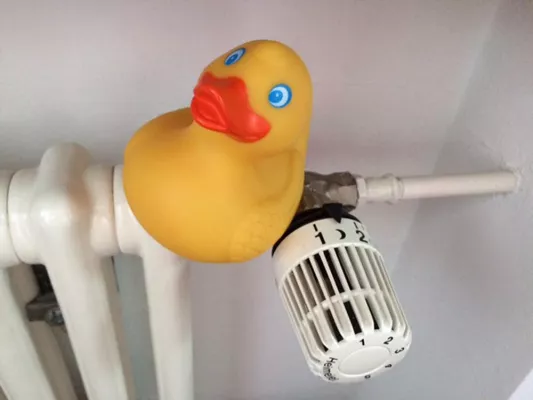 Bild: 5 Heiz-Tipps für den Winter