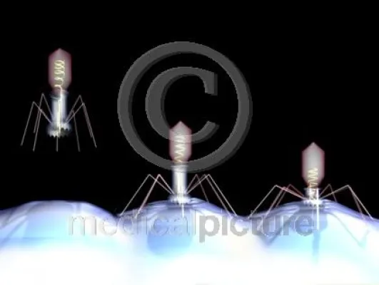 Bild: A pretty kettle of fish - Das ist ja `ne schöne Bescherung