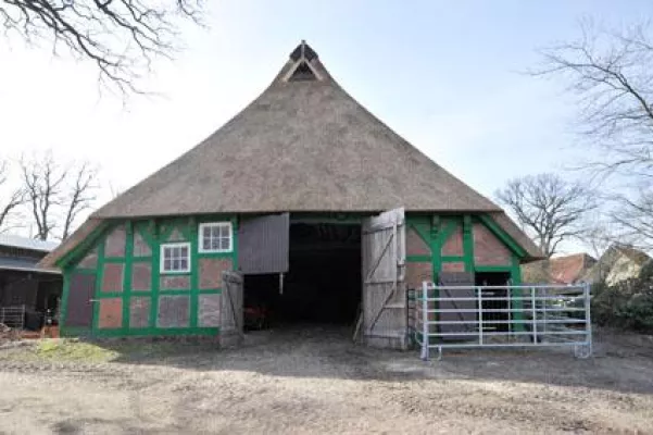 Bild: 800 m2 Reetdach für denkmalgeschützte Scheune