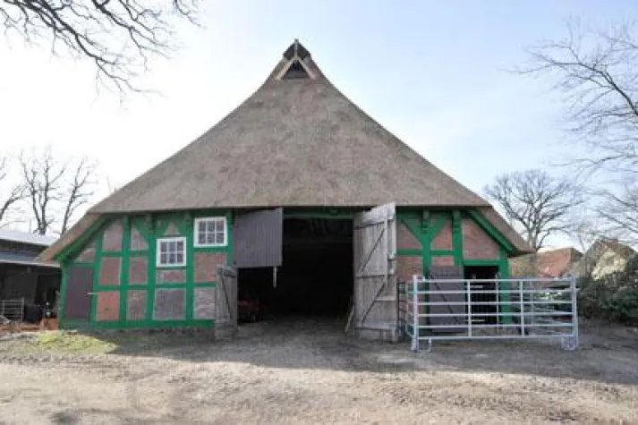 Bild: 800 m2 Reetdach für denkmalgeschützte Scheune