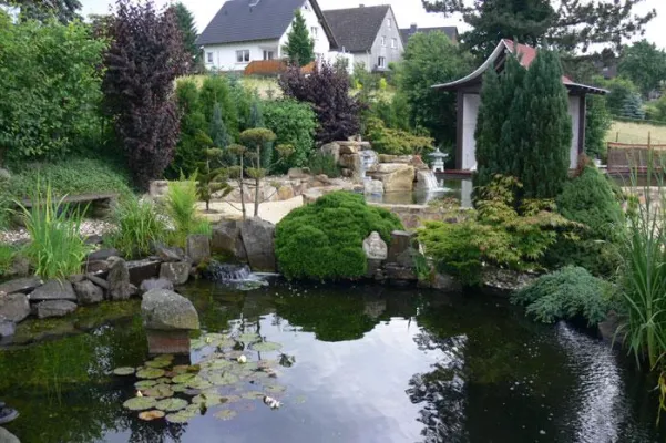 Bild: Im Sauerland - Offene Tür für Koi-Liebhaber