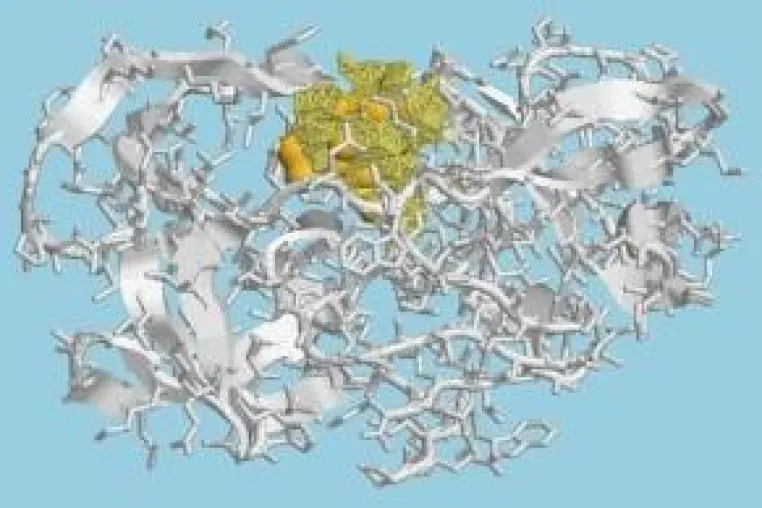 Bild: Gezielte Synthese neuer antiviraler Wirkstoffe