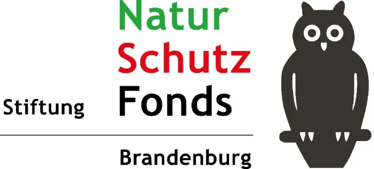 Bild: Langfristige Stauhaltung gewünscht