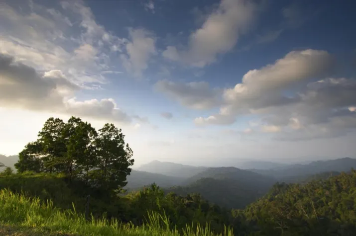 Bild: Stress und BurnOut – Wenn Körper und Seele erschöpft sind