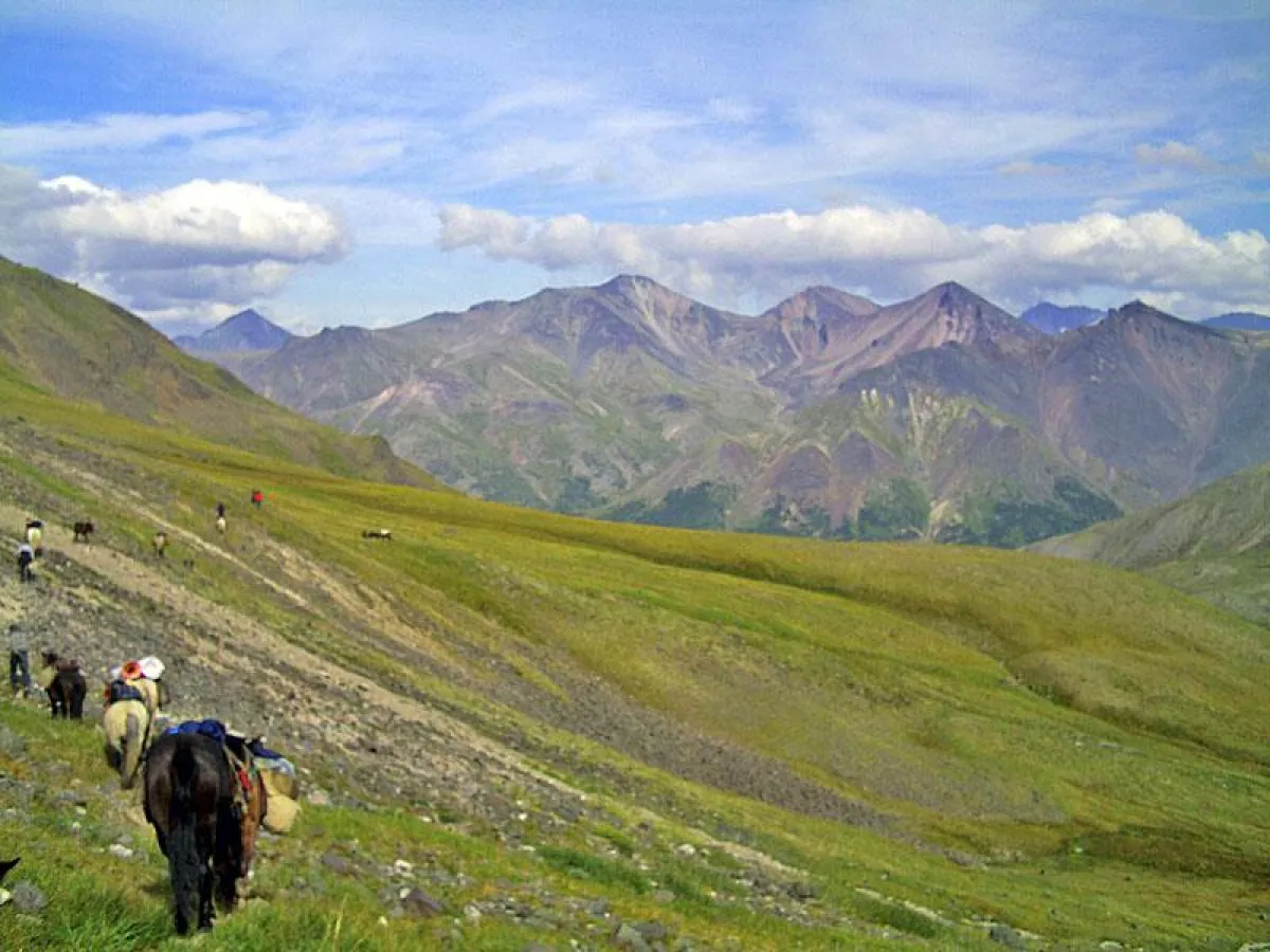 Pferdetrekking durch die Berge Kamtschatkas.