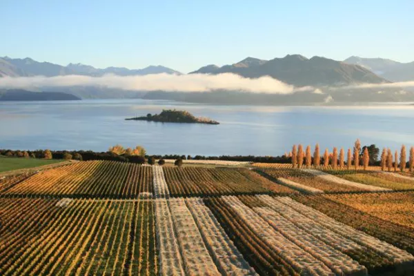 Bild: Rein und weltbekannt: Die Weine von Rippon aus Neuseeland nun auch in Deutschland und Österreich erhältlich