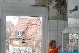 Bild: Schimmelbildung in Wohnräumen