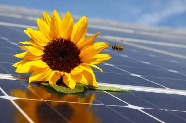 Bild: Institut für nachhaltige Stromnutzung (IFNS) empfiehlt Klimatisieren mit Solarstrom