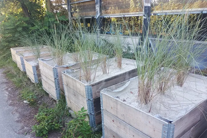 Bild: Winziges Teil für rekordhohe Daten-Bandbreite