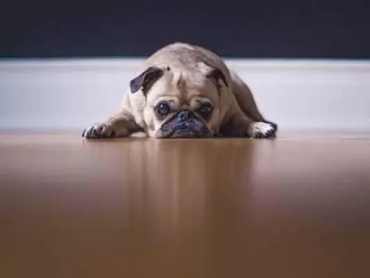 Strom & Gas: Das Märchen von der Preisgarantie Bild: Strom & Gas: Das Märchen von der Preisgarantie