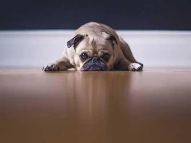 Strom & Gas: Das Märchen von der Preisgarantie Bild: Strom & Gas: Das Märchen von der Preisgarantie