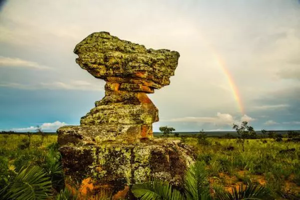 Bild: Brasilien entdecken – ein Paradies für Ökotouristen
