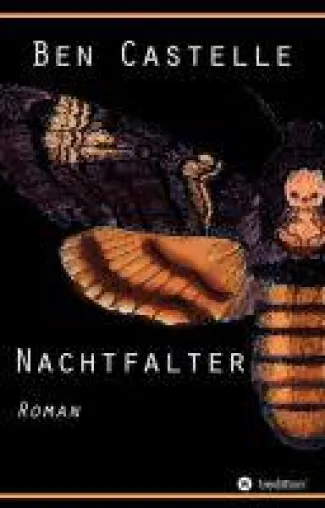 Bild: Nachtfalter - nachdenklicher Roman über vergangene Schuld und Selbstfindung