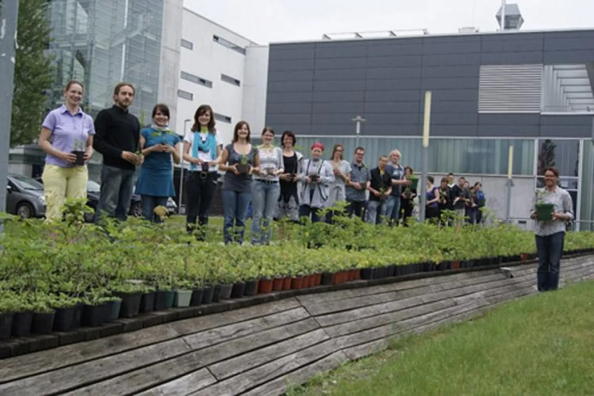 Gastprofessor Ton Matton und Studenten der Fakultät Gestaltung der Hochschule Wismar in Vorbereitung auf die Bestückung des Wismarer Marktplatzes mit rund 12.000 Bäumen.