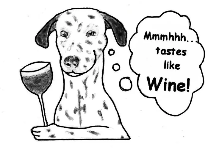 Bild: tasteslikewine.de: Weinmagazin der nächsten Generation