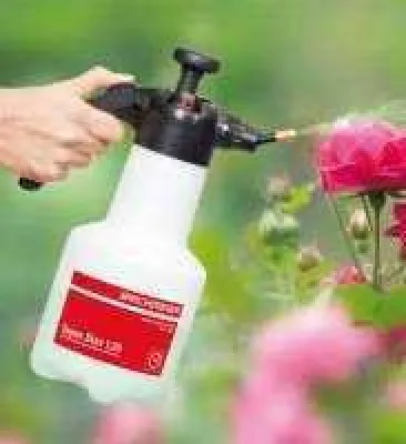 Bild: Rosen stärken mit Pflanzen-Power - Super Star 1.25 von Birchmeier jetzt mit 360° Funktion