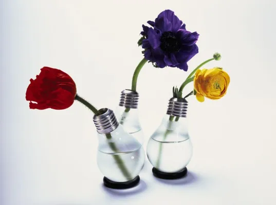 Bild: Abschied von der Glühbirne