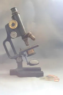 Bild: Toleranz und Ignoranz: Die Philosophie der Gleichgültigkeit