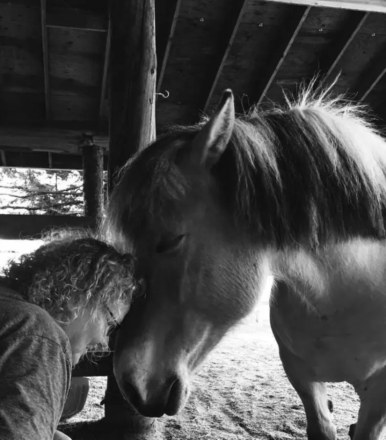 Pferdefachwirt EPA - einfach anmelden!