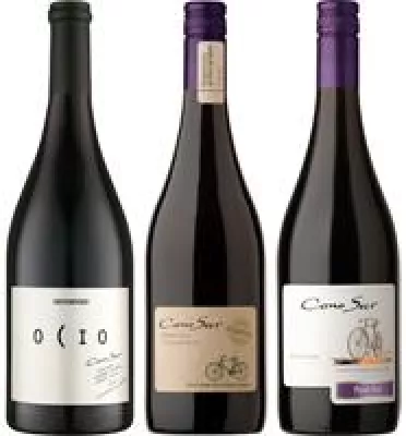 Chilenisches Weingut Cono Sur gilt weltweit als anerkannter Spezialist für Pinot Noir Bild: Chilenisches Weingut Cono Sur gilt weltweit als anerkannter Spezialist für Pinot Noir