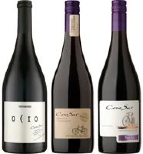 Bild: Chilenisches Weingut Cono Sur gilt weltweit als anerkannter Spezialist für Pinot Noir