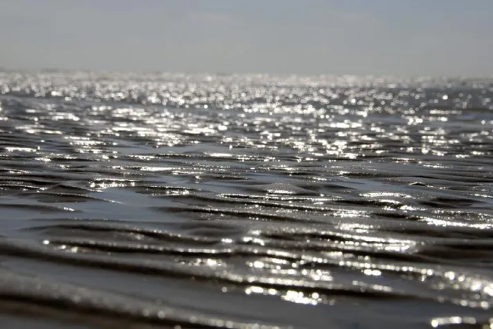 Bild: Wenn die Zugvögel ziehen: Herbst an der Nordsee