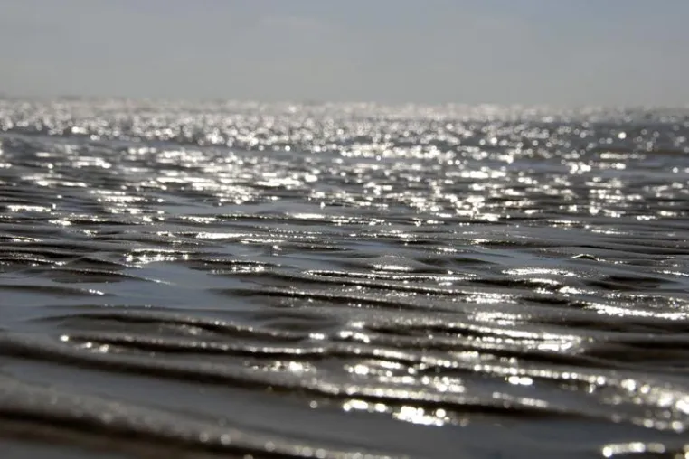 Bild: Wenn die Zugvögel ziehen: Herbst an der Nordsee