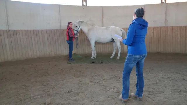 Bild: Gute Vorsätze für 2016 tatsächlich umsetzen. Mit einem Coaching ins Neue Jahr