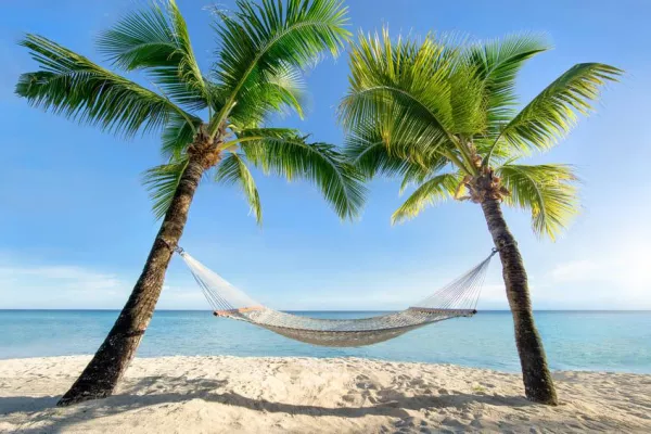 Bild: Integrierter Urlaubsplaner trägt zum Projekterfolg bei