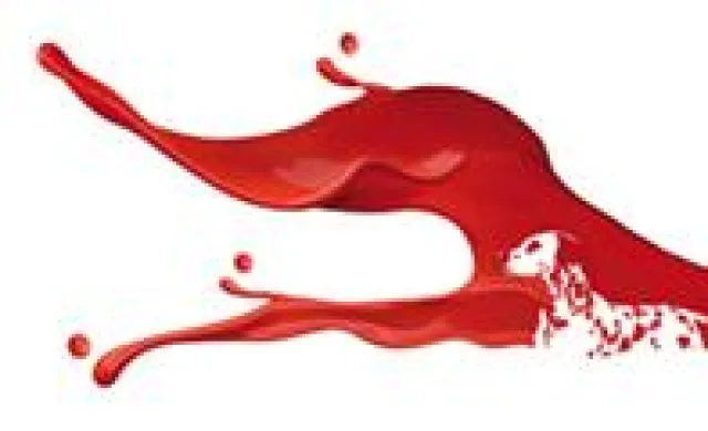 Bild: MedienSchiff Bruno, – 3. Platz »PrintStars 2011 - Der Innovationspreis der Deutschen Druckindustrie«
