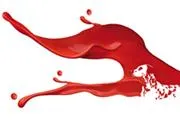 Bild: MedienSchiff Bruno, – 3. Platz »PrintStars 2011 - Der Innovationspreis der Deutschen Druckindustrie«