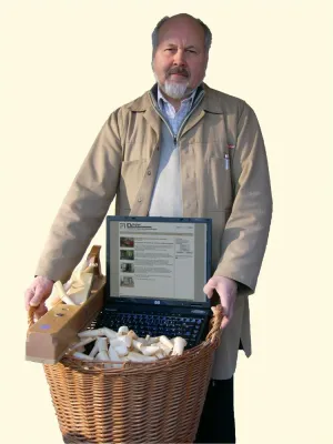 Bild: Web-Auftritt der Schreinerei Richard Dochtermann (Kreis Heilbronn-Eppingen) vom Baden-Württembergischen Handwerktag (BWHT) ausgezeichnet