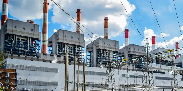 Bild: Sind wir einzigartig? Neues Konzept beleuchtet, wie Lebewesen die Erde formen – von der Urzeit bis heute