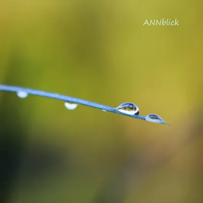 Eye-Catcher im Quadrat Bild: Eye-Catcher im Quadrat