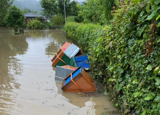Bild: MILLIONEN BIENEN TOT - IMKEREIEN NACH FLUT VOR DEM AUS