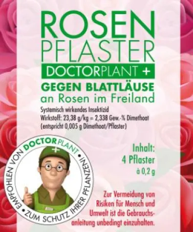 Bild: Das Rosenpflaster ist da – Blattläuse an Rosen im Frühjahr effektiv bekämpfen