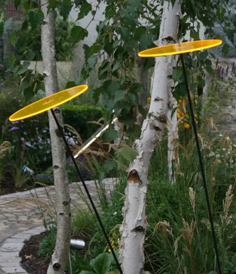 Strahlt mit der Sonne um die Wette: Cazador del sol