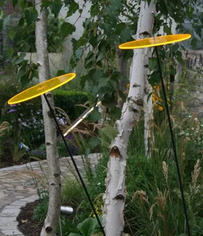 Bild: Die Sonne einfangen