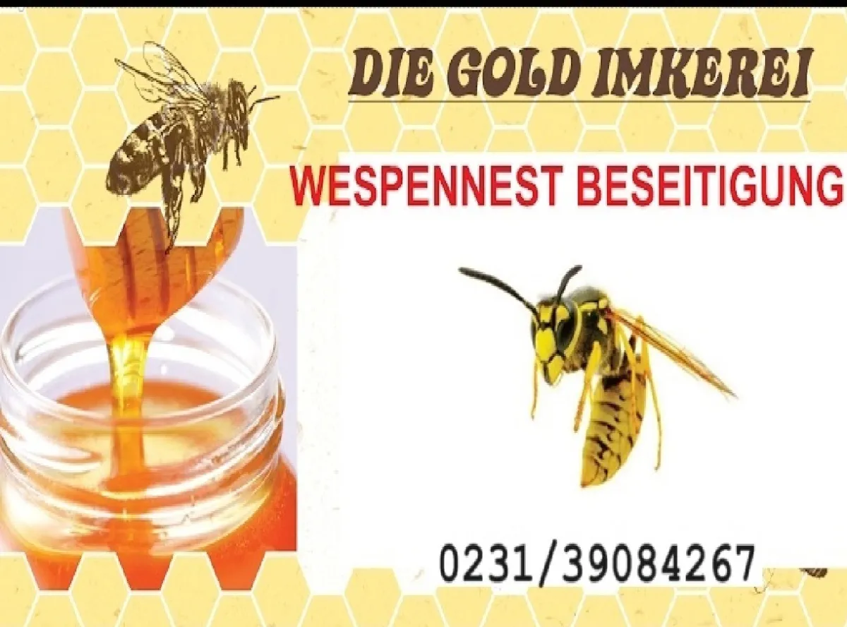 Wespennest (© Andreas Schössow)