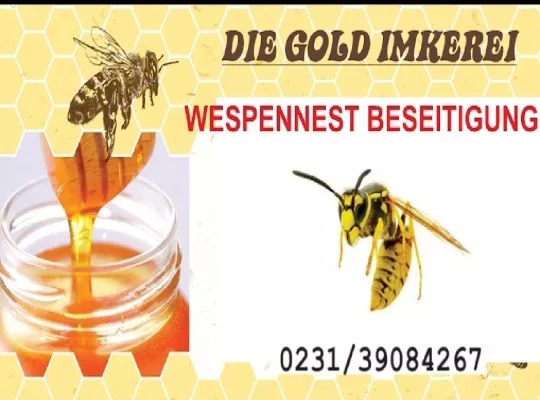 Bild: Wespennest Entfernung in Dortmund 