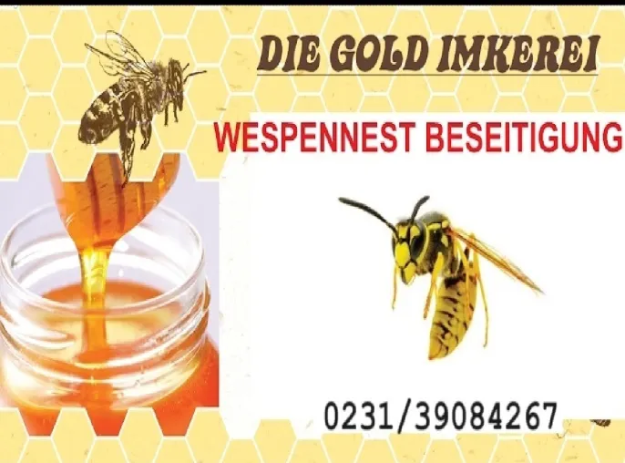 Bild: Wespennest Entfernung in Dortmund 