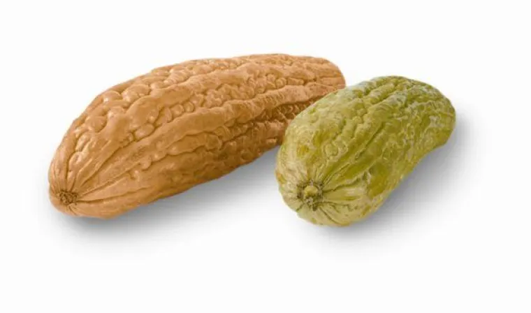 Bild: Bitter ist oft besser – mit der Bittermelone gesund kochen und genussvoll essen