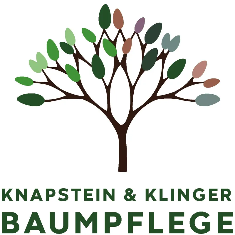 Fachbetrieb für Baumpflege Knapstein & Klinger (© Knapstein & Klinger)