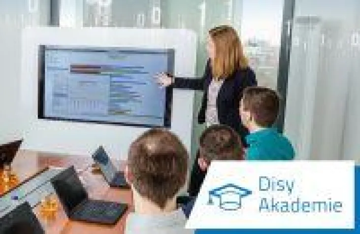 Bild: Schulungen zu Datenanalyse, Reporting und GIS - Disy-Akademieprogramm 2020 findet online statt